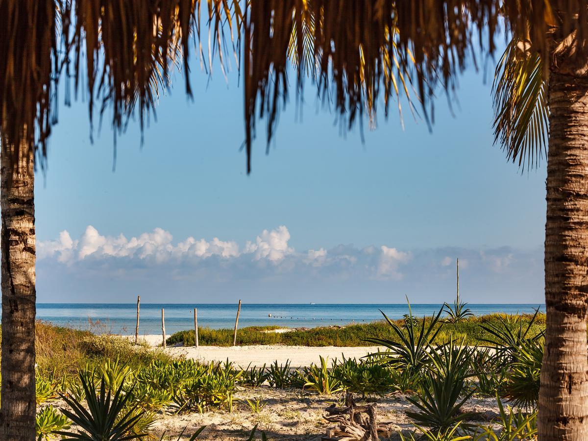 Villas Hm Palapas Del Mar Isla Holbox Exteriér fotografie